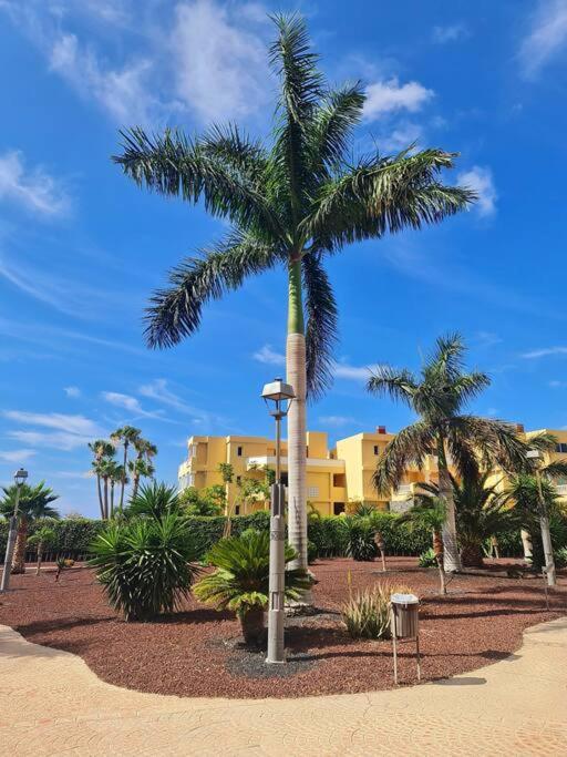 Homely Apt In Modern Building With Pool San Miguel de Abona Extérieur photo